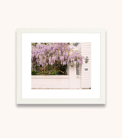 Framed Charleston wall art featuring cascading wisteria in bloom